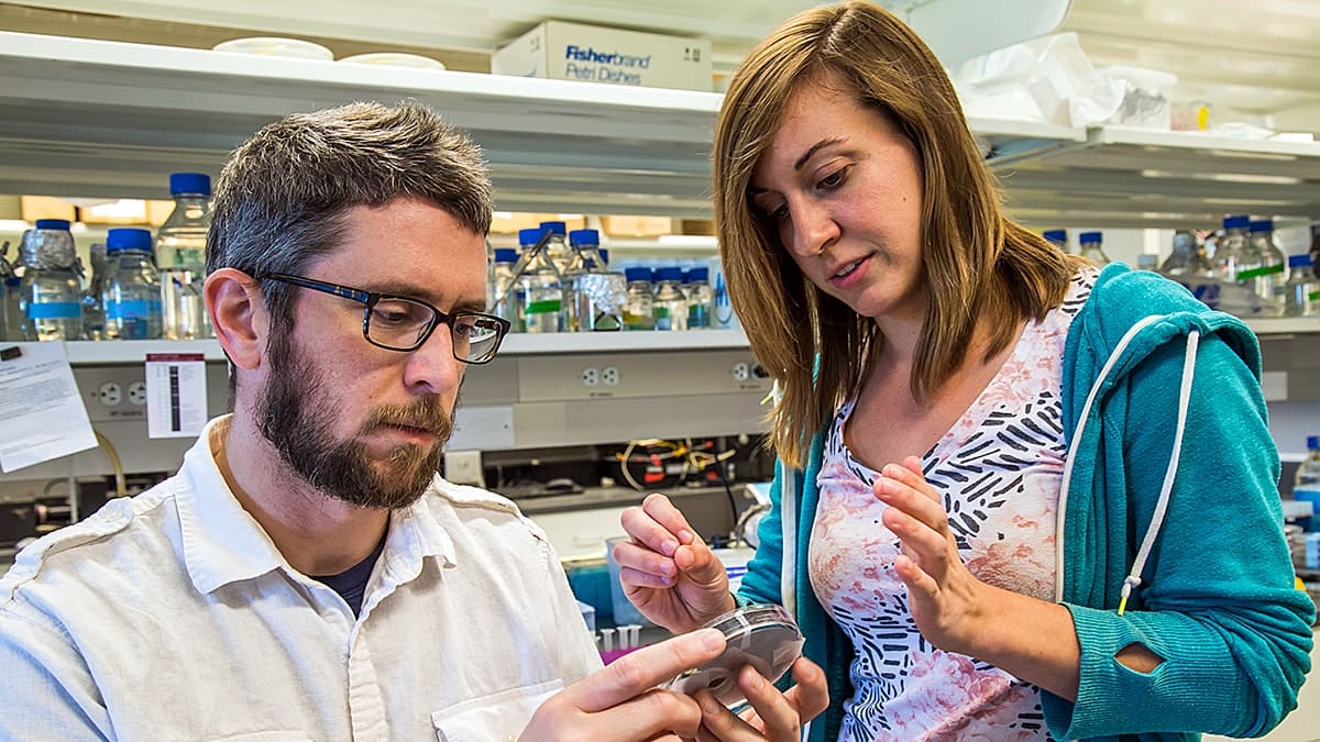 Professor and student work together in lab setting.