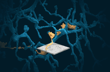 Computational Biology